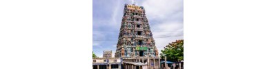 244. திருவோத்தூர்